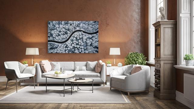 Canvas Prints